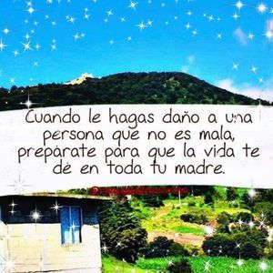 Meet your Posher, Dora